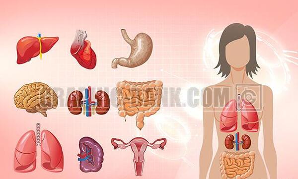 عکس سیاه و سفید آپارتمان