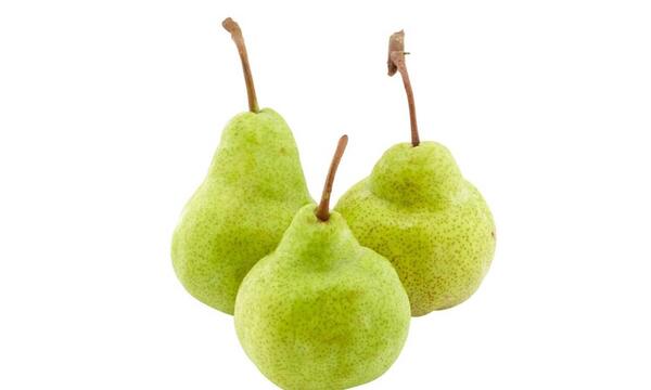 عکس شاه میوه