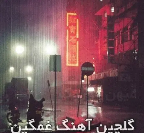 عکس حمید غلامعلی