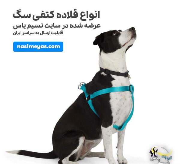 عکس جلیقه سگ