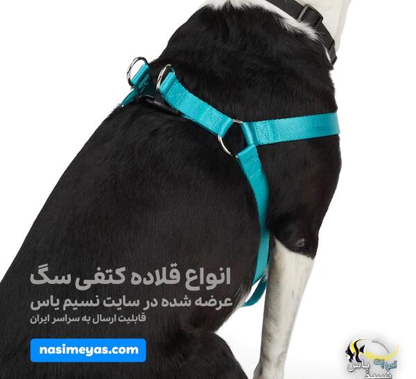 عکس جلیقه سگ