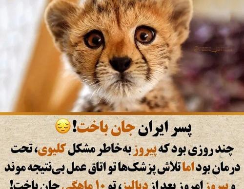 عکس های پیروز