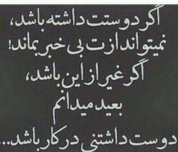 عکس نوشته سنگین گرگ
