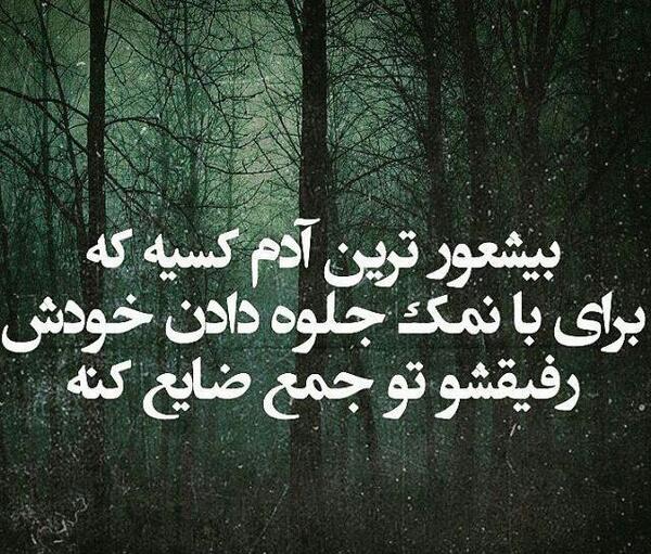 عکس نوشته سنگین گرگ