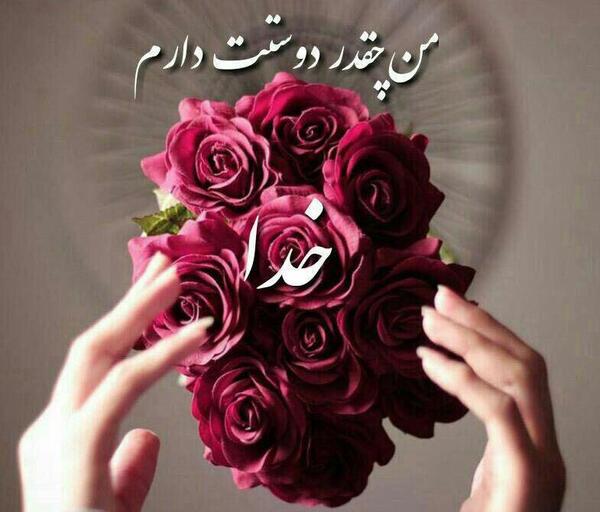 عکس نوشته سنگین گرگ