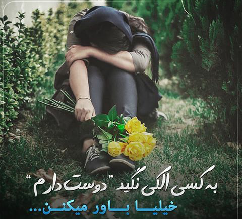 عکس نوشته سنگین گرگ