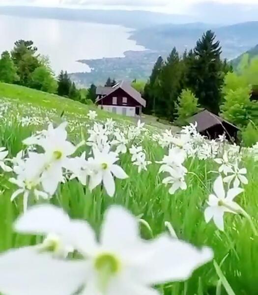 عکس استوری طبیعت با اهنگ