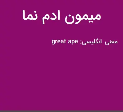 عکس میمون آدم