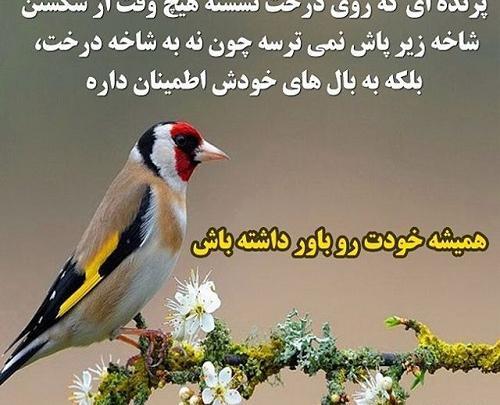 عکس نوشته شده اعتماد