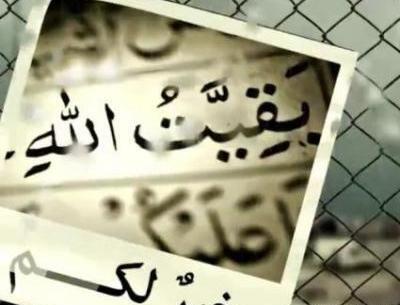 عکس امام زمان کربلا