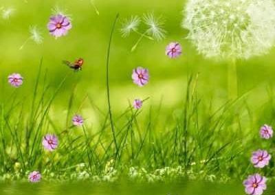 عکس متن ظهر بخیر عاشقانه