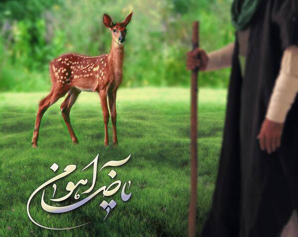 عکس یا ضامن آهو