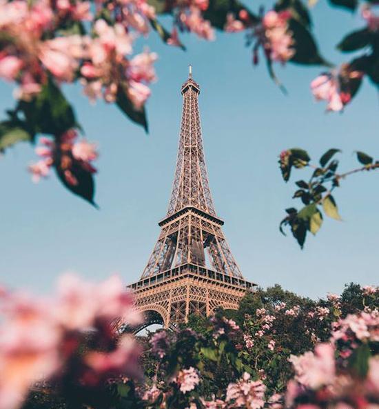 عکس برج ایفل در شب برای تصویر زمینه