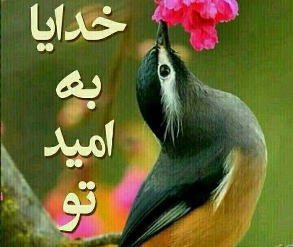 عکس نوشته شاد شاد