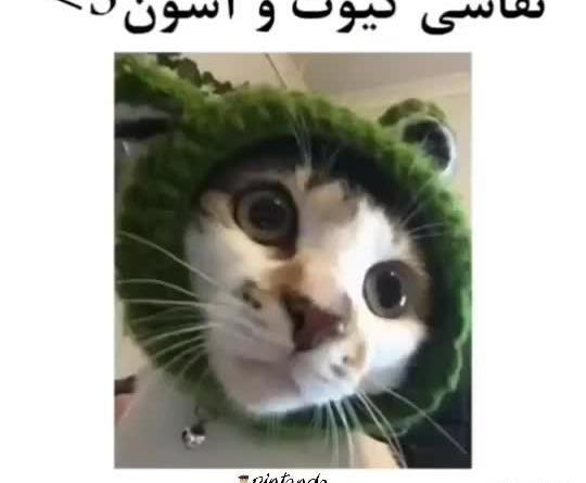 عکس نقاشی زیبا پینترست