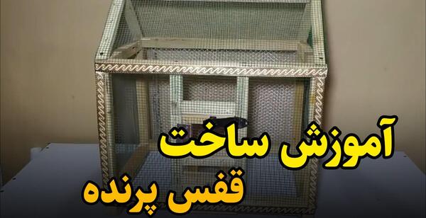عکس عروس هلندی قفس
