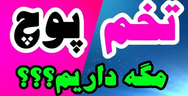 عکس عروس هلندی قفس