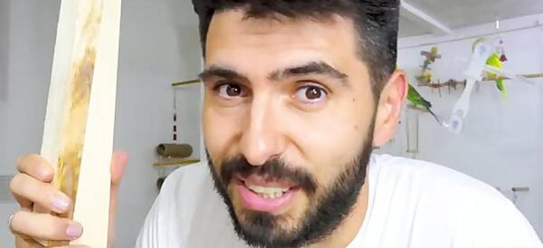عکس عروس هلندی قفس