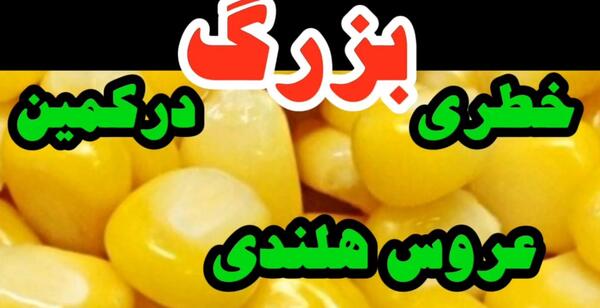 عکس عروس هلندی قفس