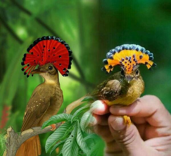 عکس زیبا سویا