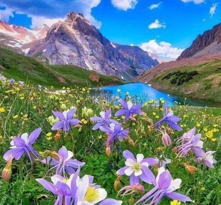 عکس طبیعت در صبح