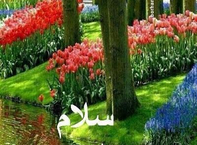 عکس طبیعت در صبح