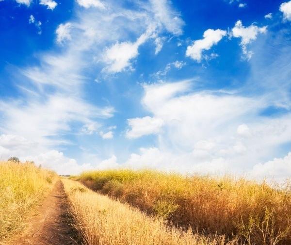 عکس طبیعت در صبح