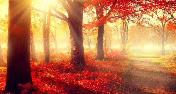 عکس طبیعت در صبح