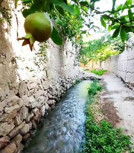 عکس طبیعت در صبح