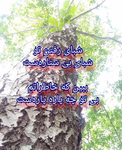 عکس نوشته شبای رفتن تو