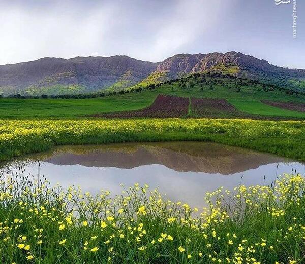 عکس ایران آتش