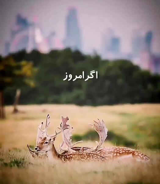 عکس نوشته اموزنده خدایی