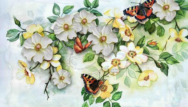 عکس نقاشی گل و پروانه