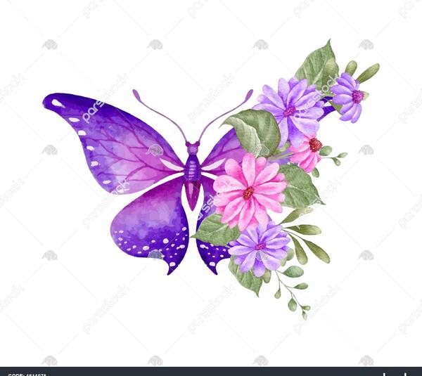 عکس نقاشی گل و پروانه