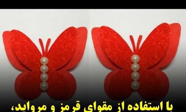 عکس پروانه کاغذی