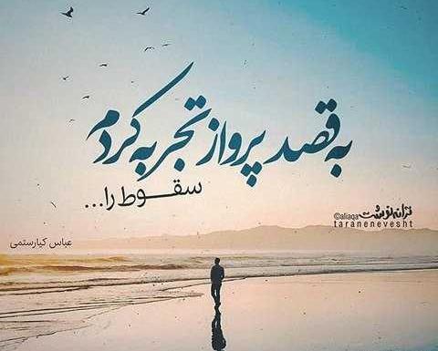 عکس نوشته شاخ شکن