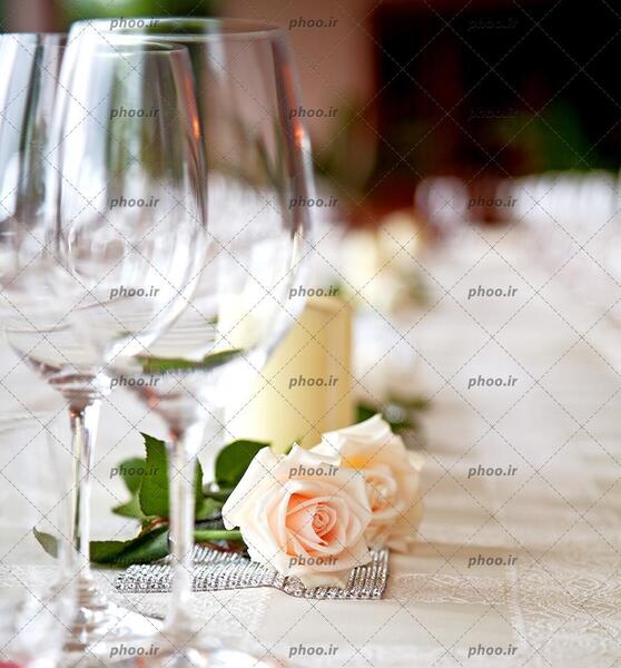 عکس نزدیک گل