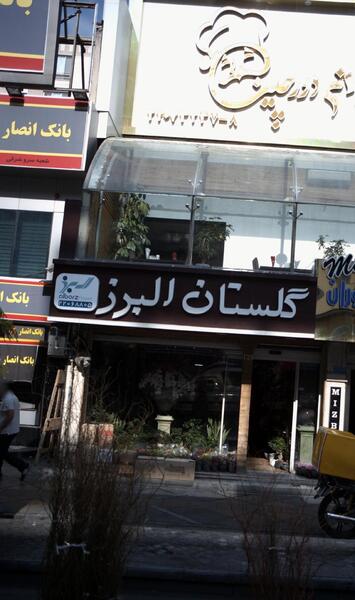 عکس نزدیک گل