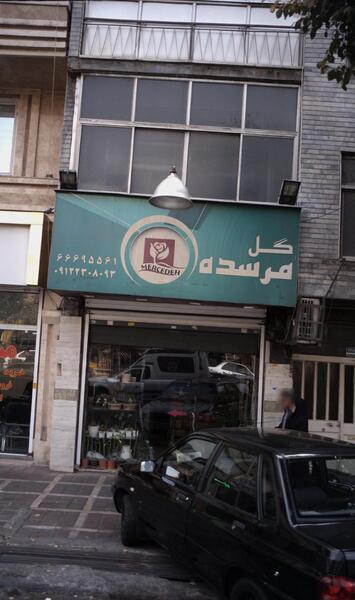 عکس نزدیک گل