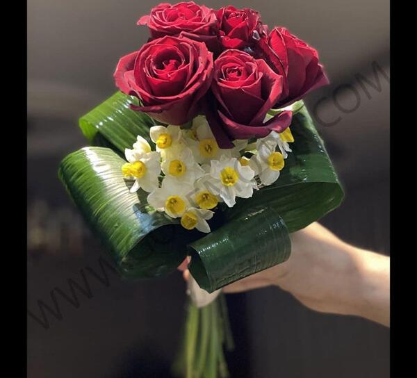 عکس گل نرگس در هوای بارانی
