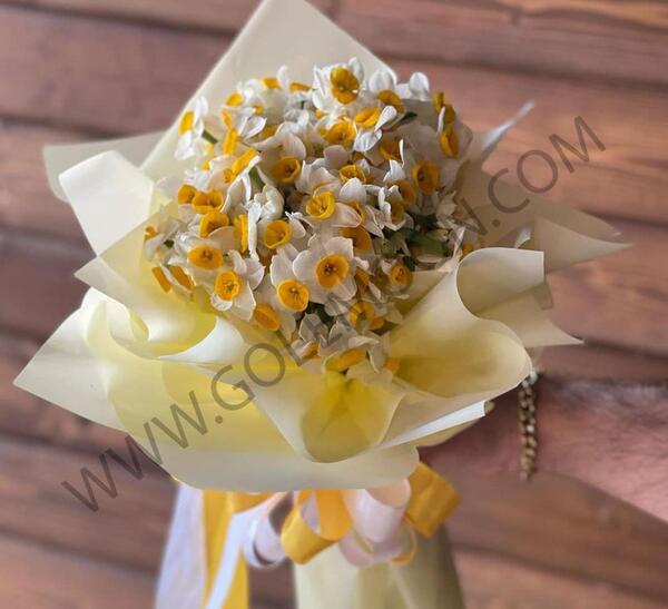 عکس گل نرگس در هوای بارانی