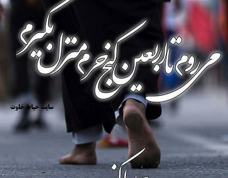 عکس نوشته دارم میرم کربلا