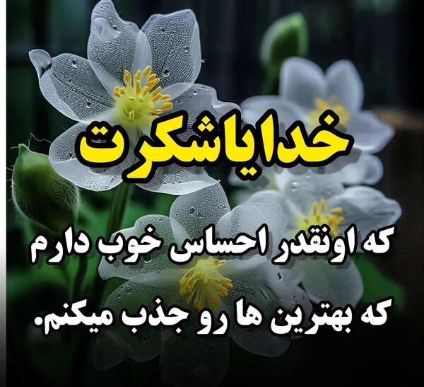 عکس نوشته خدایا پناهمان باش