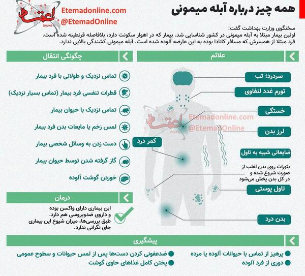 عکس بثورات ابله میمون