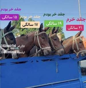 عکس سوتی رختخوابی نی نی سایت