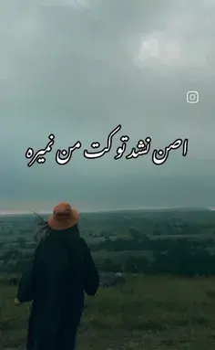 عکس گرگ یعنی ارتش تک نفره