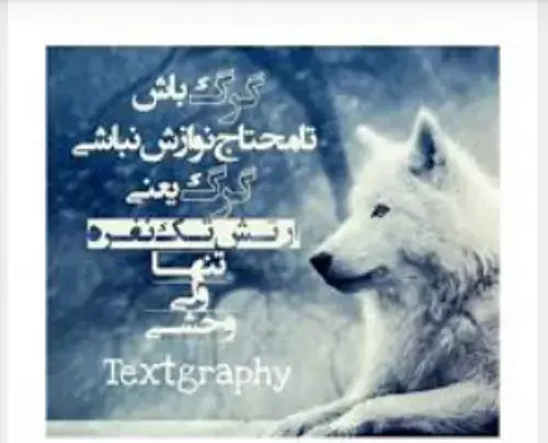 عکس گرگ یعنی ارتش تک نفره
