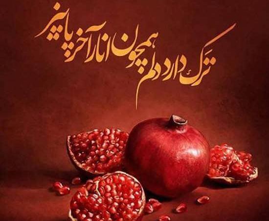 عکس حافظ یلدا