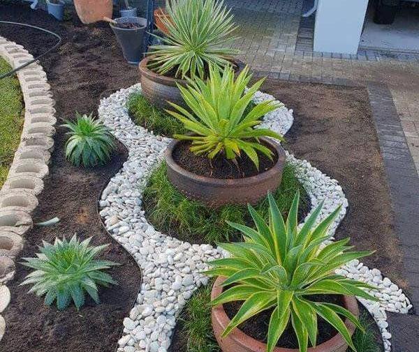 عکس ژله جشن دندونی