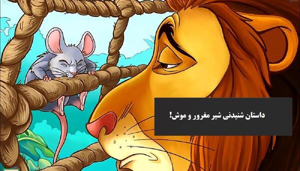 عکس شیر موش